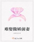 前妻难娶金盈