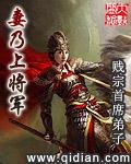 妻乃上将军苏婉