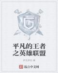 播放平凡英雄