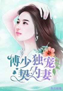 傅少总裁独宠妻