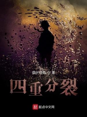 四重分裂笔趣阁