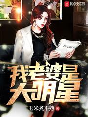 我老婆是大明星 振笔疾书TXT