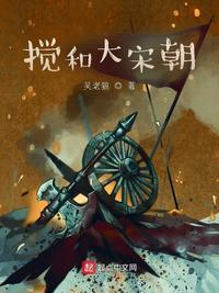 搅和大宋朝 吴老狼