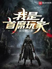 首席玩家sfx电源