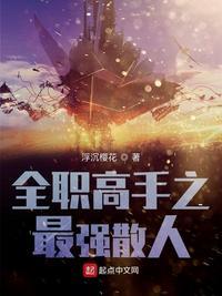 穿越全职高手之最强散人夫妇