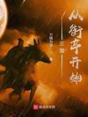 三国从街亭开始北伐夏侯献的背景介绍