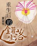 重生后错落的人生txt