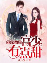 婚后心动凌总追妻有点甜 笔趣阁