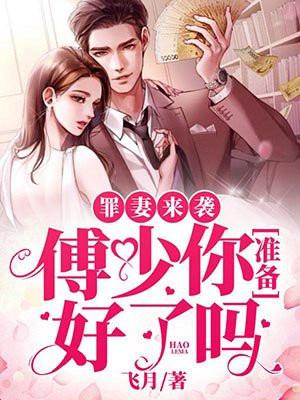 傅少宠妻夜