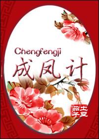 成凤计土豆茄子