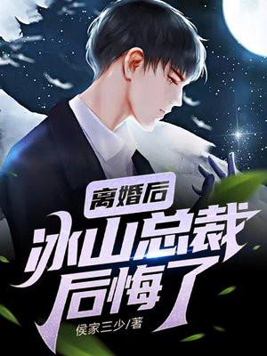 冰山女总裁后悔了侯家三少