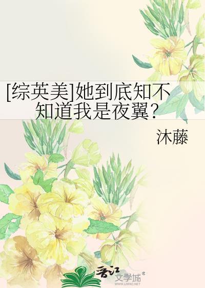 综英美她到底知不知道我是夜翼 全文