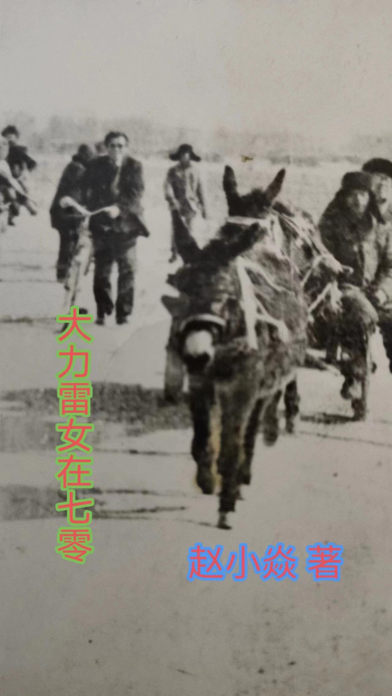 大力女的六零