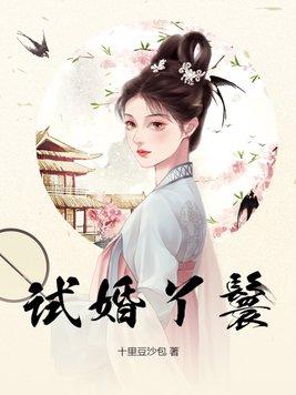 试婚丫鬟赵非荀