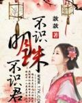 不识明珠不识君TXT
