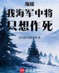 海贼王之海军最咸鱼中将