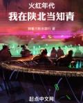 火红年代我在陕北当知青笔趣阁