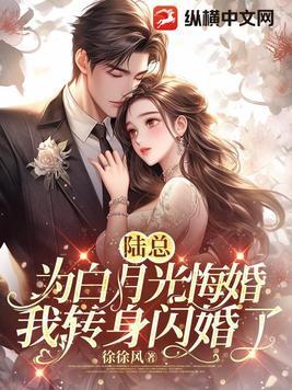 我转身闪婚了短剧