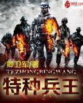 特种兵王艳兵
