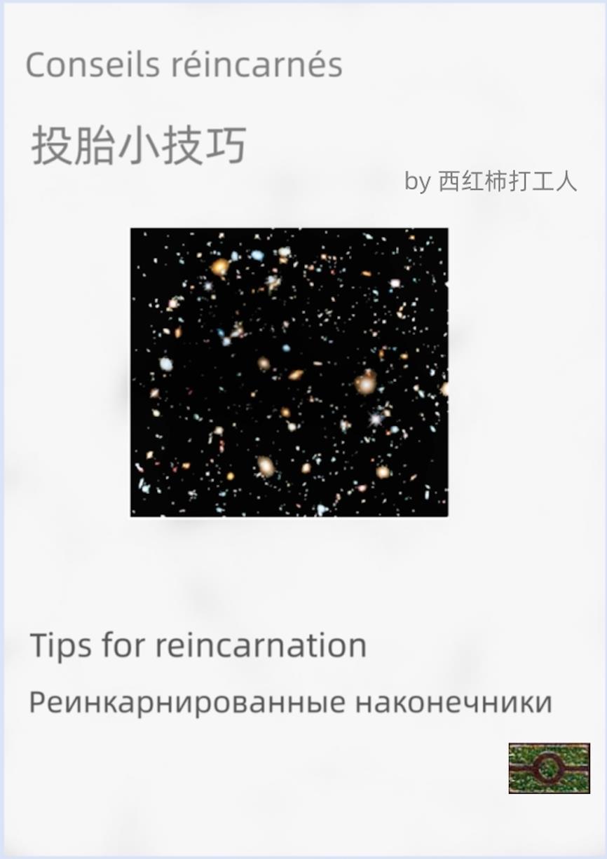 投胎流程图