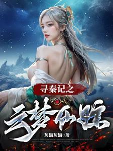 寻秦记寻龙记寻梦记