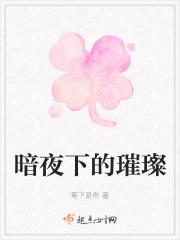 璀璨的暗夜之旅pdf