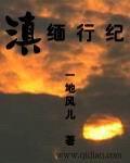 滇缅行纪笔趣阁