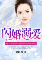 闪婚溺爱免费完整版