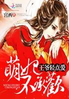昨夜缠绵王爷嫩妃慢点疼