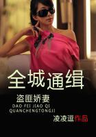 全城通缉到底讲的什么