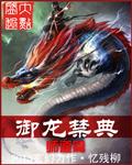 御龙惊凤全集